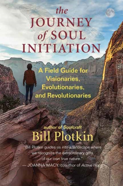 The Journey of Soul Initiation - A Field Guide for Visionaries, Revolutionaries, and Evolutionaries