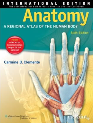 Anatomy : A Regional Atlas of the Human Body, 6th Ed. - International Edition