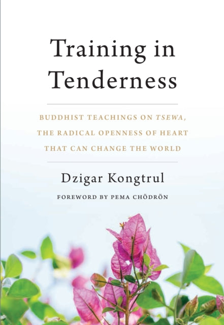 Training in Tenderness - Buddhist Teachings on Tsewa, the Radical Openness of Heart That Can Change the World