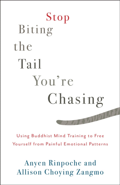 Stop Biting the Tail You're Chasing - Using Buddhist Mind Training to Free Yourself from Painful Emotional Patterns