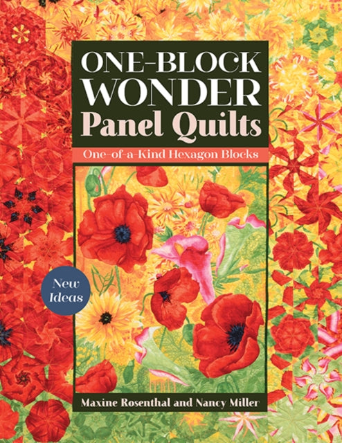 One-Block Wonder Panel Quilts - New Ideas; One-of-a-Kind Hexagon Blocks