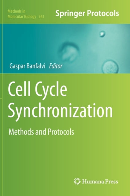 Cell Cycle Synchronization