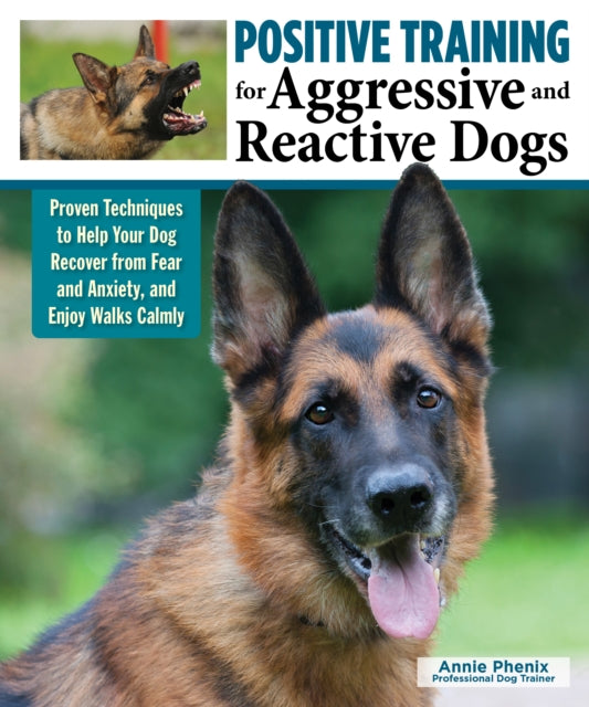 Positive Training for Aggressive & Reactive Dogs