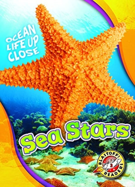 Sea Stars