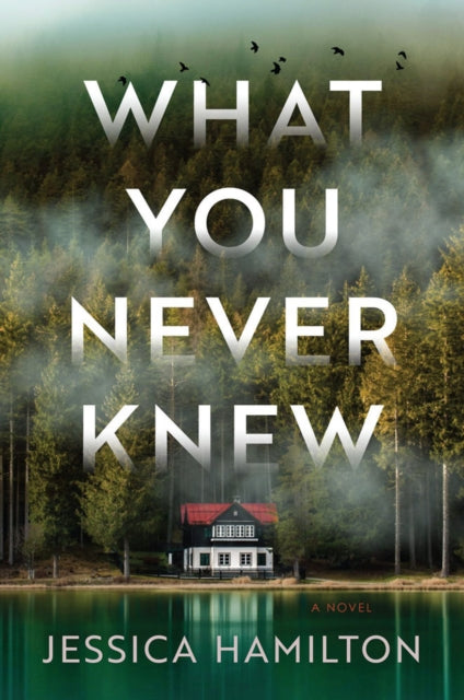 What You Never Knew - A Novel