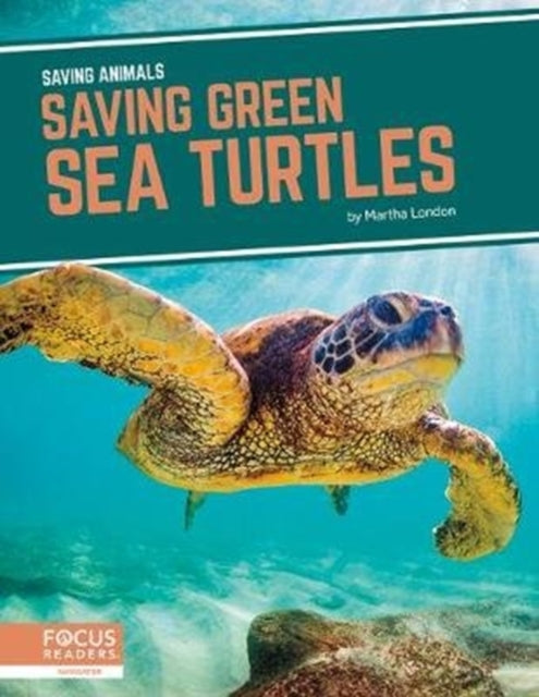 Saving Green Sea Turtles