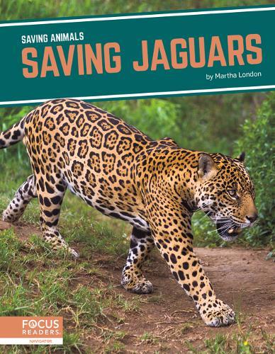 Saving Jaguars