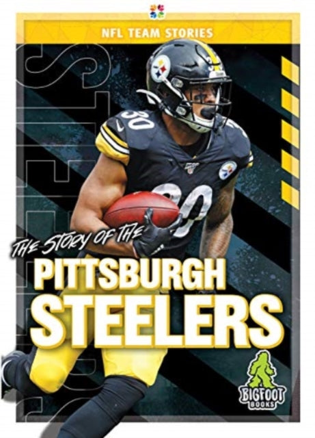 Story of the Pittsburgh Steeler