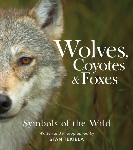 Wolves, Coyotes & Foxes