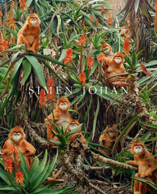 Simen Johan