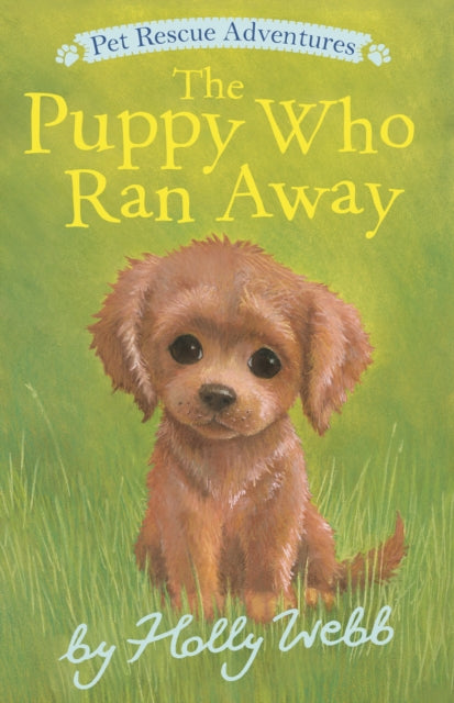 Puppy Who Ran Away