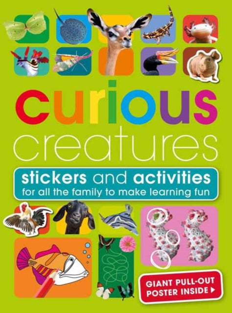 Curious Creatures