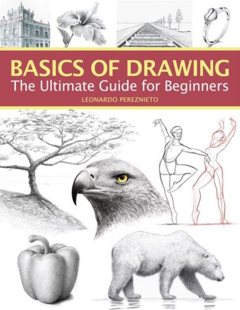 Basics of Drawing - The Ultimate Guide for Beginners