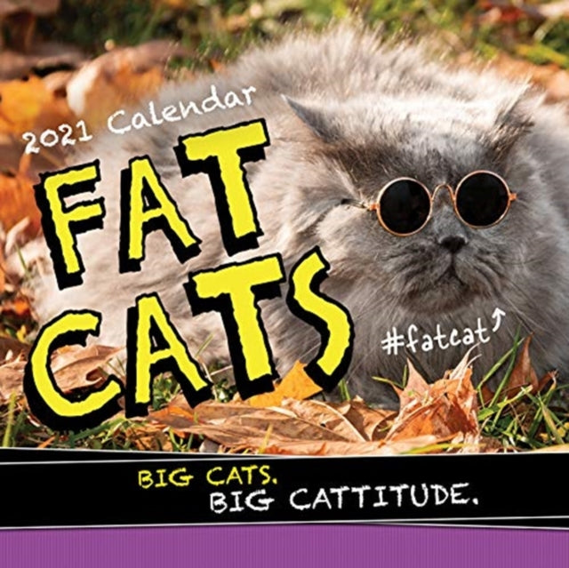 2021 Fat Cats Wall Calendar