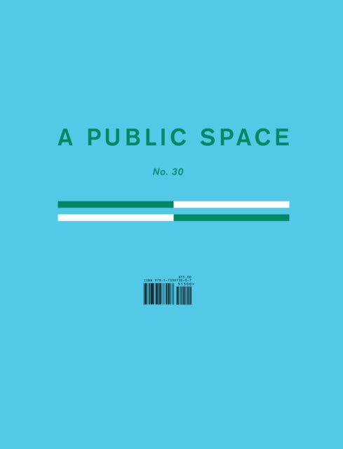 Public Space No. 30