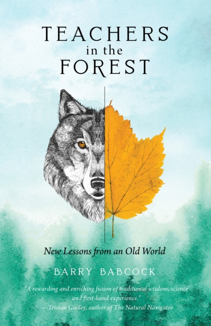 Teachers in the Forest - New Lessons from an Old World