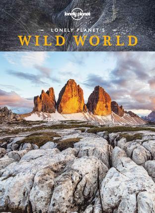 Wild World