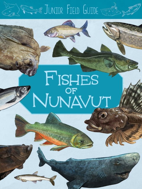 Junior Field Guide: Fishes of Nunavut - English Edition