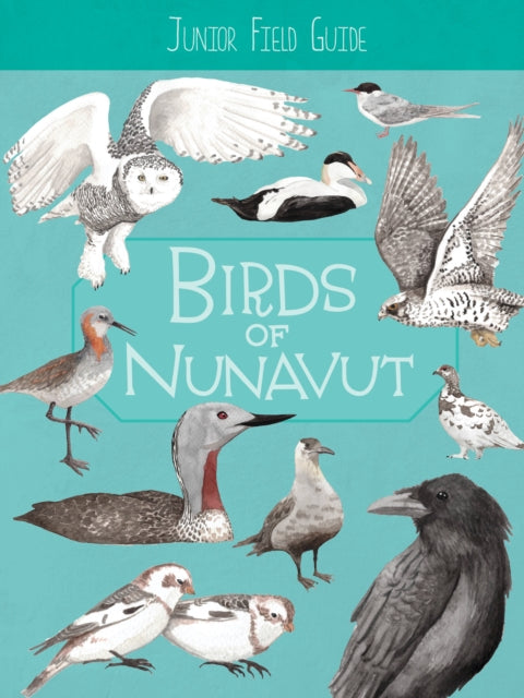 Junior Field Guide: Birds of Nunavut - English Edition