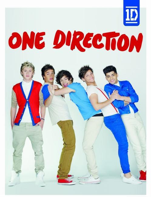Official One Direction 2013 Calendar