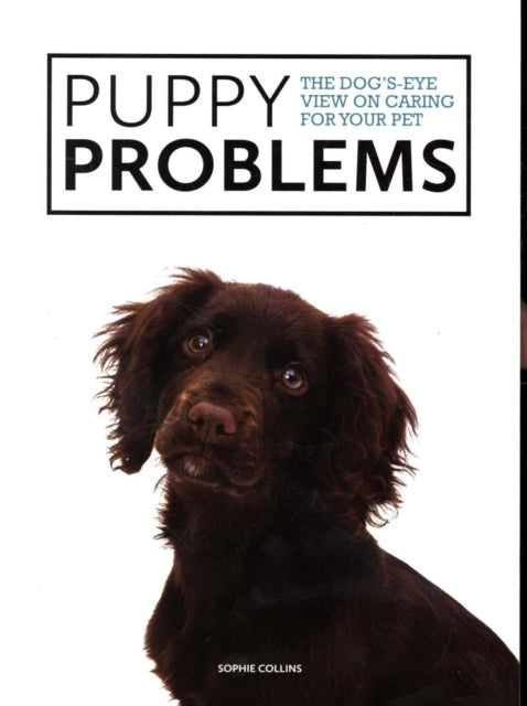 Puppy Problems - The Dog's-Eye View on Tackling Puppy Problems