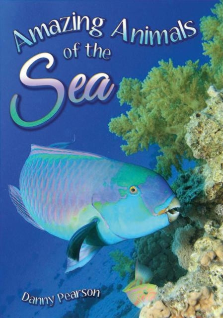 Amazing Animals of the Sea