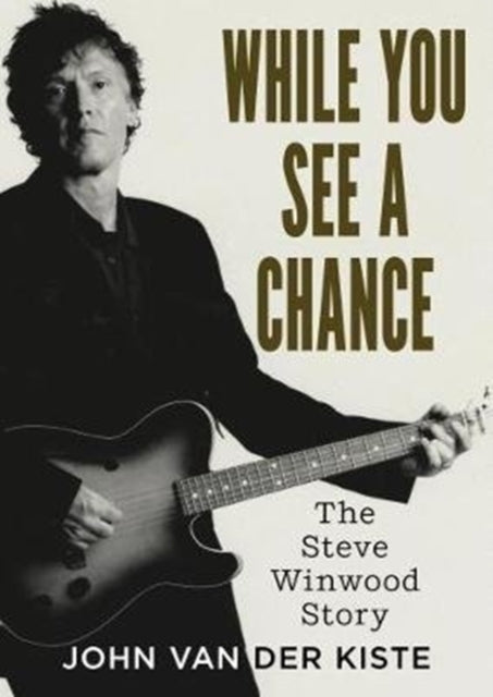 While You See A Chance - The Steve Winwood Story