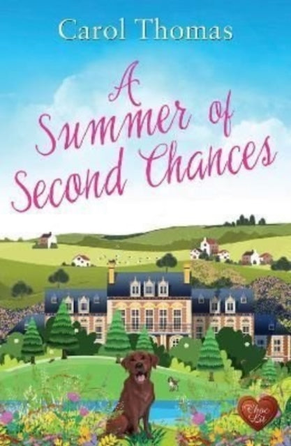 Summer of Second Chances