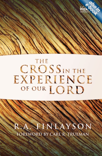 Cross in the Experience of Our Lord