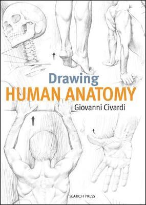 DRAWING HUMAN ANATOMY