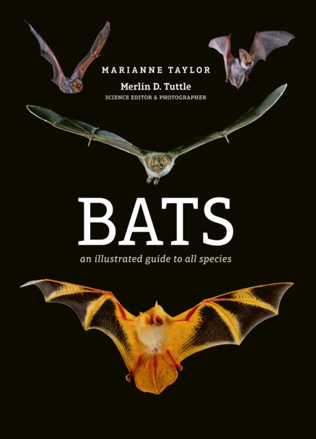 Bats - An illustrated guide to all species