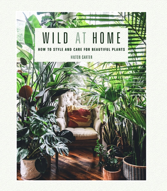 Wild at Home - How to Style and Care for Beautiful Plants