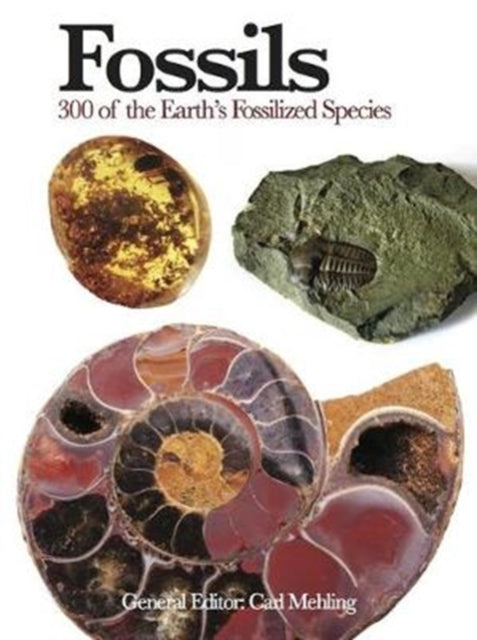 Fossils - 300 of the Earth's Fossilized Species