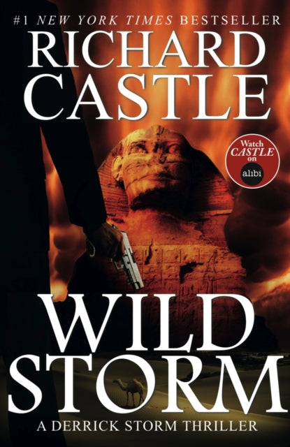 Wild Storm: A Derrick Storm Novel