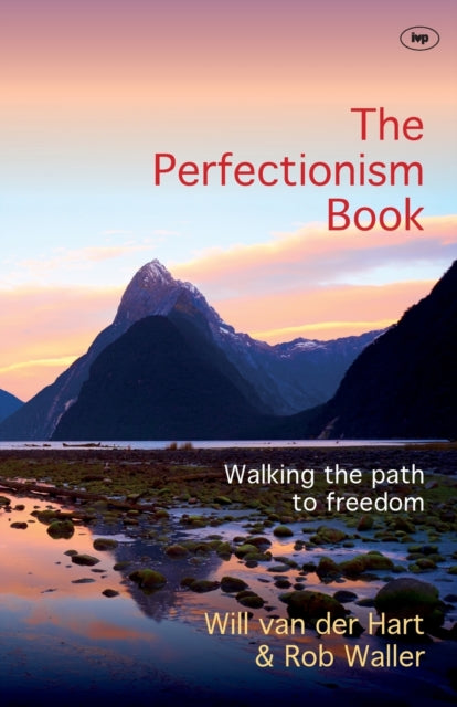 Perfectionism Book