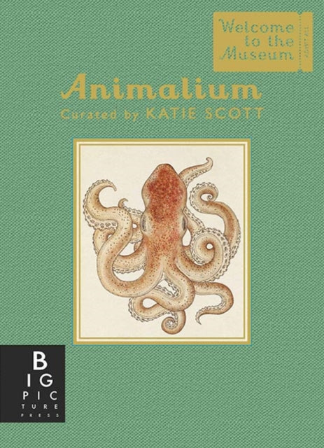 Animalium (Mini Gift Edition)