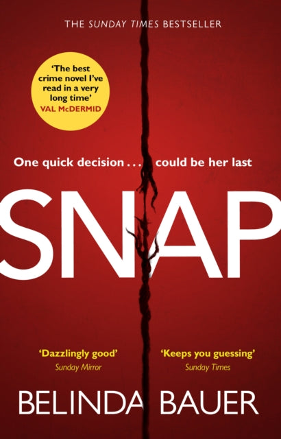 Snap - `The best crime novel I've read in a very long time' Val McDermid