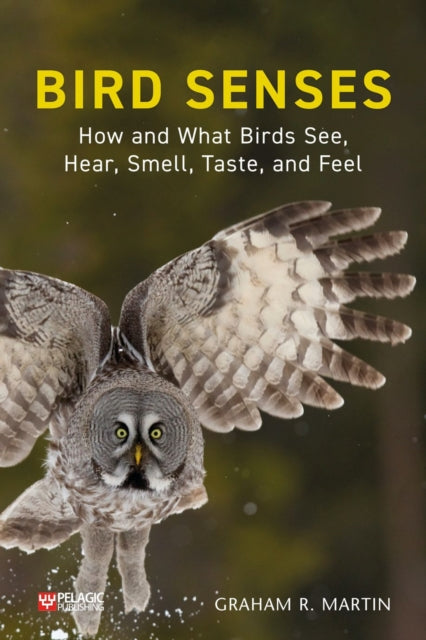 Bird Senses - How and What Birds See, Hear, Smell, Taste and Feel