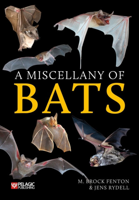 Miscellany of Bats