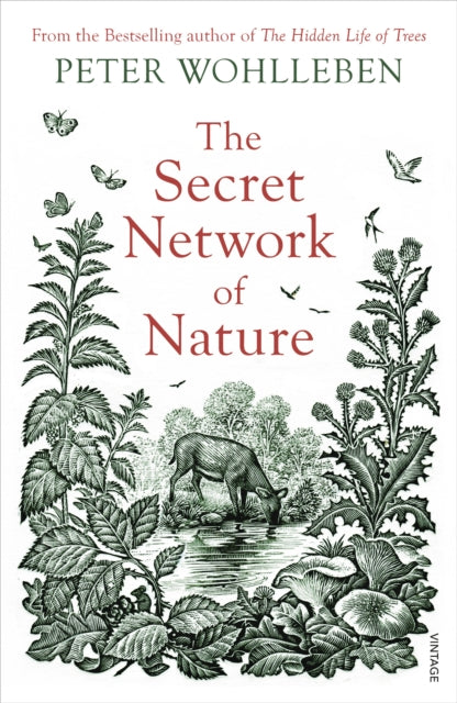 The Secret Network of Nature - The Delicate Balance of All Living Things