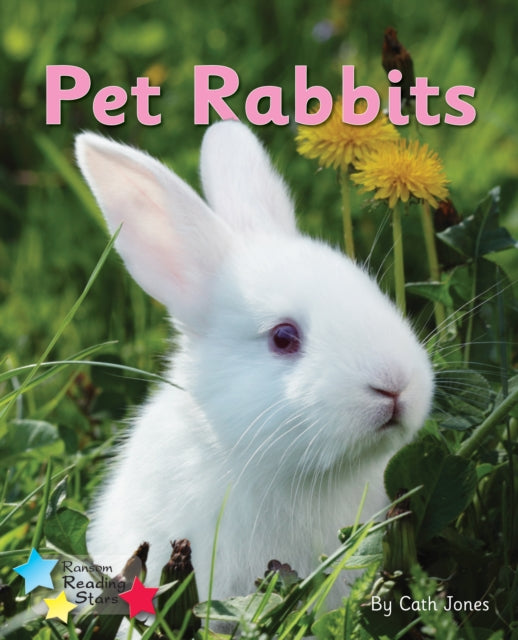 Pet Rabbits - Phonics Phase 3