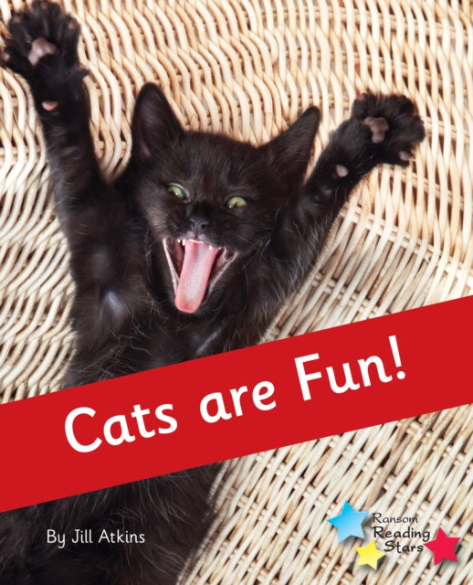 Cats are Fun!