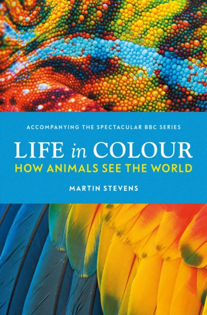 LIFE IN COLOUR