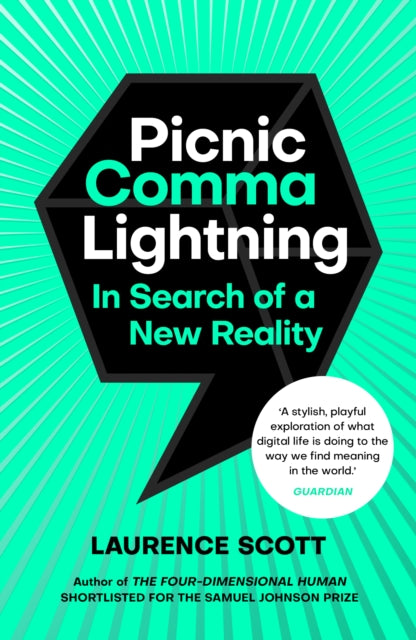 Picnic Comma Lightning - In Search of a New Reality