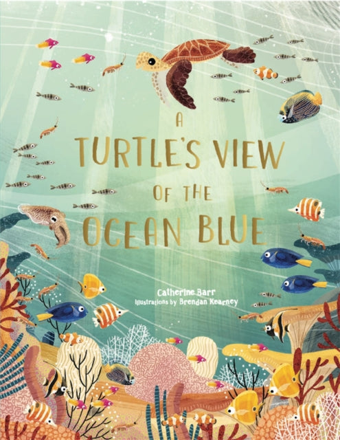 A Turtle's View of the Ocean Blue