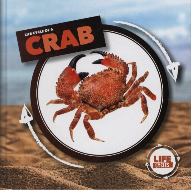 Crab