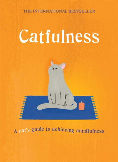 Catfulness: A cat's guide to achieving mindfulness