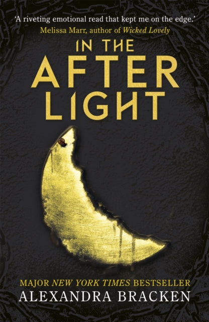The Darkest Minds: In the Afterlight: Book 3