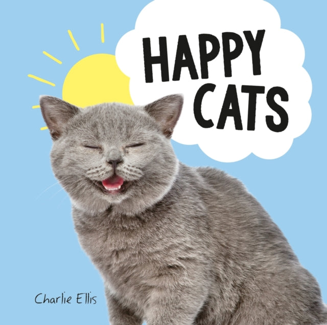 Happy Cats - Photos of Felines Feeling Fab