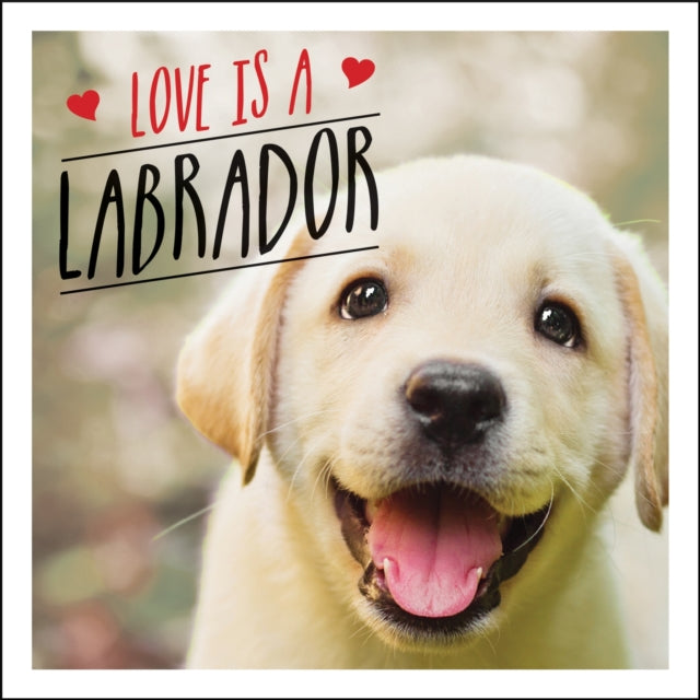 Love is a Labrador